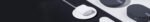 banner-6